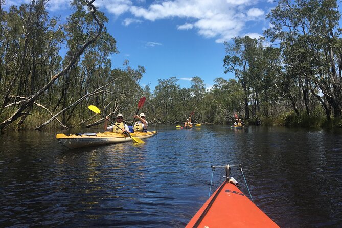 Full-Day Guided Noosa Everglades Kayak Tour - Paddling highlights: lakes, wetlands, and mangrove edges