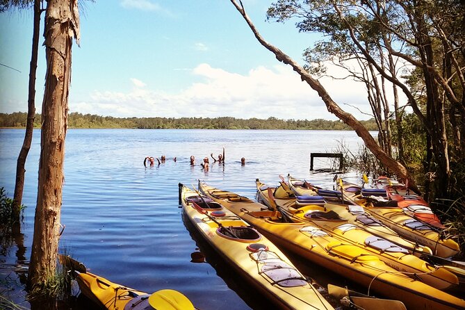 Full-Day Guided Noosa Everglades Kayak Tour - Wildlife spotting that feels natural, not forced