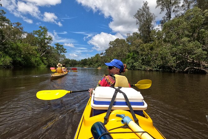 Full-Day Guided Noosa Everglades Kayak Tour - The swim stop and why it’s more than just a break
