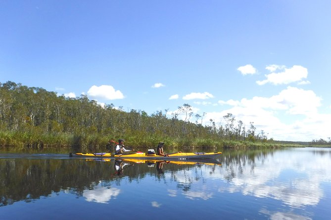 Full-Day Guided Noosa Everglades Kayak Tour - Lunch by the waterfront, plus the small touches that matter