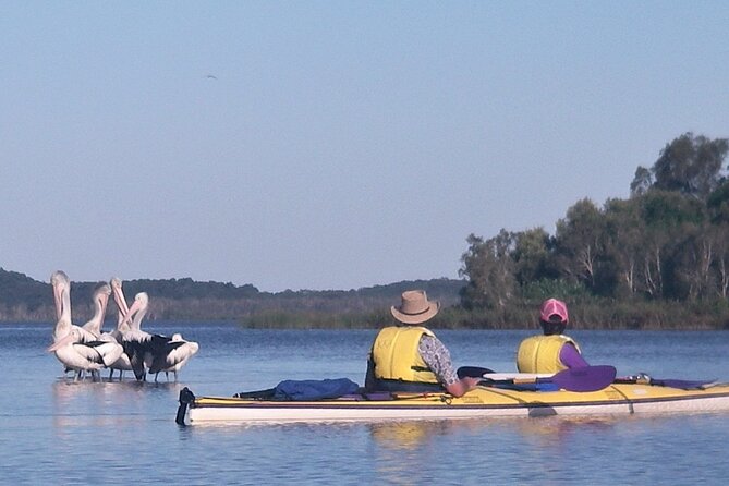 Full-Day Guided Noosa Everglades Kayak Tour - Timeline feel: 8:30 am start to an early afternoon return