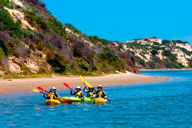 Full Day Kayaking Tour in Coorong National Park - Key highlights worth clocking before you go