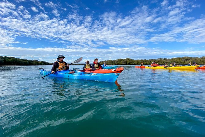 Full Day Kayaking Tour in Coorong National Park - Food included all day, not just a token snack