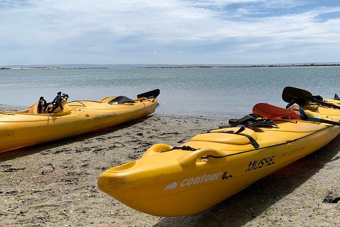 Full Day Kayaking Tour in Coorong National Park - The guide makes or breaks the day