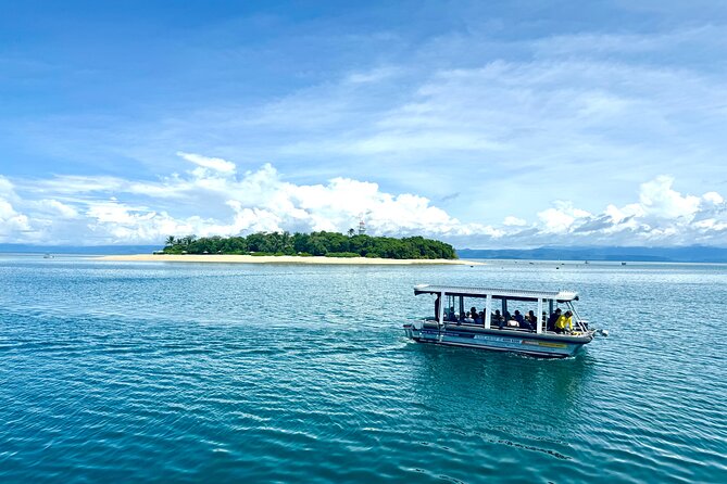 Full Day Low Isles Sailing & Snorkelling Cruise from Port Douglas - EV Discovery glass-bottom boat: what you see without getting wet