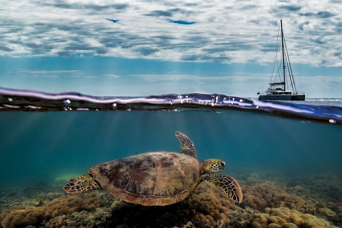 Full Day Low Isles Sailing & Snorkelling Cruise from Port Douglas - The snorkel plan: two swim opportunities, gear included, and real safety limits