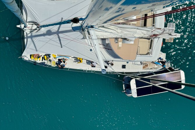 Full Day Low Isles Sailing & Snorkelling Cruise from Port Douglas - What the day feels like on the water: sailing, choppy days, and turtle spotting