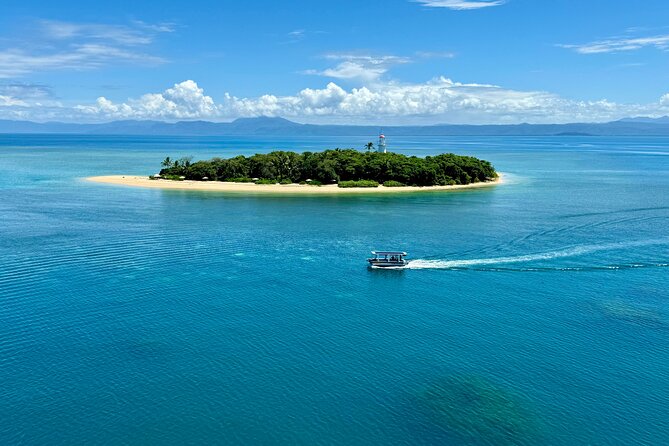 Full Day Low Isles Sailing & Snorkelling Cruise from Port Douglas - Who this cruise is best for (and who should think twice)