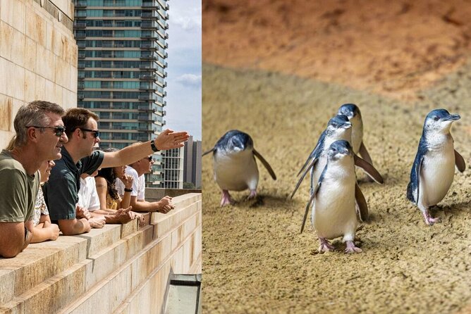 Full-day Melbourne City Sightseeing with Penguin Parade - Key points before you go