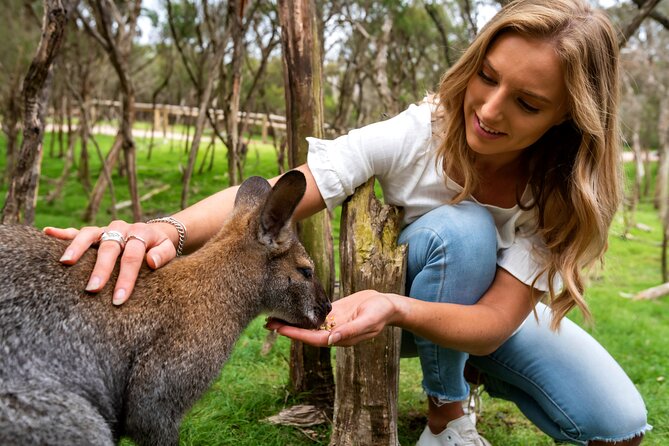 Full-Day Penguins and Wildlife Nature Experience from Melbourne - Why this Melbourne to Phillip Island wildlife day actually works