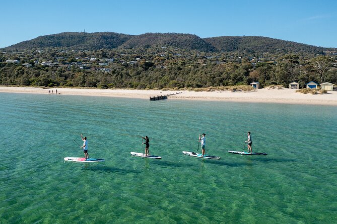 Full-Day Penguins and Wildlife Nature Experience from Melbourne - The guide factor: how Alan, Stuart, Ryan, Brooke, and others shape the day
