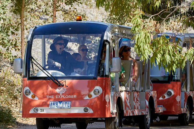 Full-Day Penguins and Wildlife Nature Experience from Melbourne - Who should book, and who might find it less satisfying