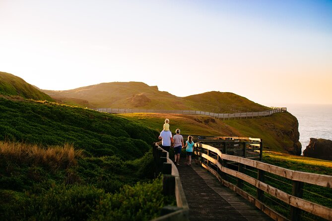 Full-Day Penguins and Wildlife Nature Experience from Melbourne - Moonlit Sanctuary Wildlife Conservation Park: Aussie icons and time to get close
