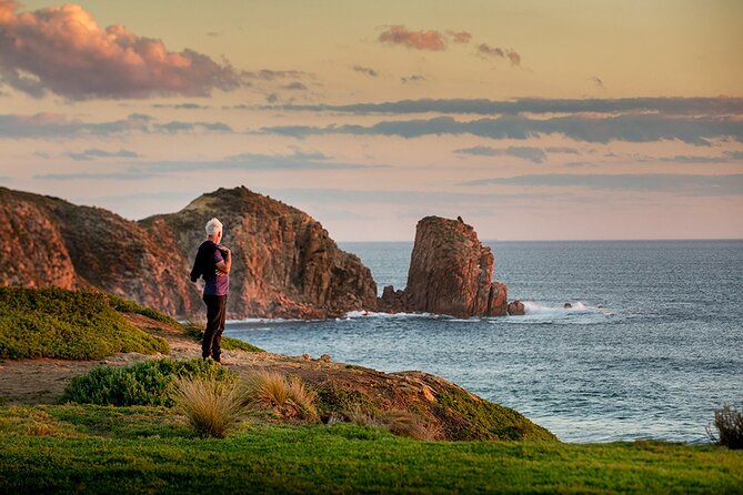 Full-Day Phillip Island Tour with Kangaroo, Koala and Penguin Parade - Value and logistics on a $104 day trip