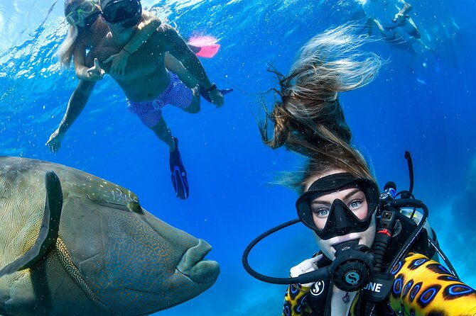 Full Day Reef Cruise and 10 Minute Helicopter Scenic Flight - Cairns Start, Reef Fleet Terminal to the Evolution Catamaran