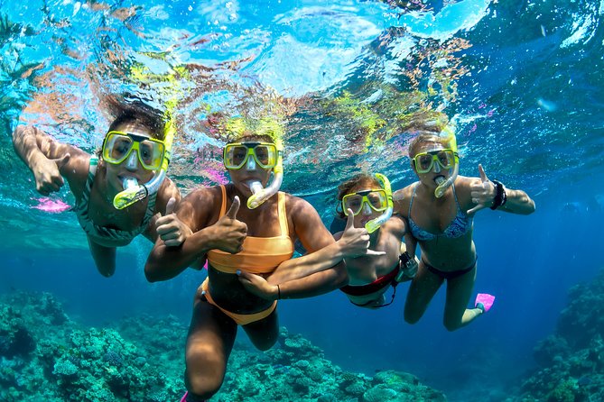 Full Day Reef Cruise and 10 Minute Helicopter Scenic Flight - Lunch on Evolution, Why the BBQ Matters More Than You Think