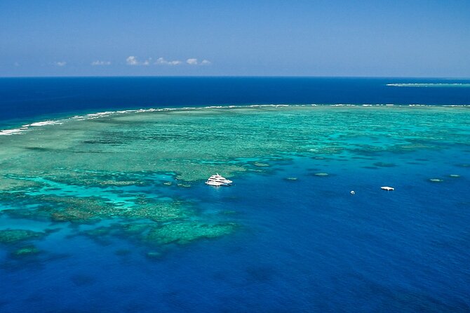 Full Day Reef Cruise and 10 Minute Helicopter Scenic Flight - Sea Conditions, Motion Sickness, and What to Do About It