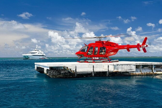 Full Day Reef Cruise and 10 Minute Helicopter Scenic Flight - Morning Flow on Board: What Your Day Actually Feels Like