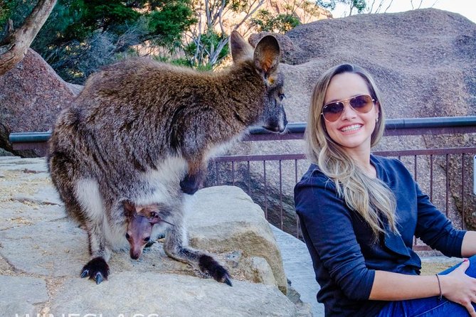 Full-Day Tour to Wineglass Bay from Hobart - Why this Wineglass Bay day trip from Hobart makes sense
