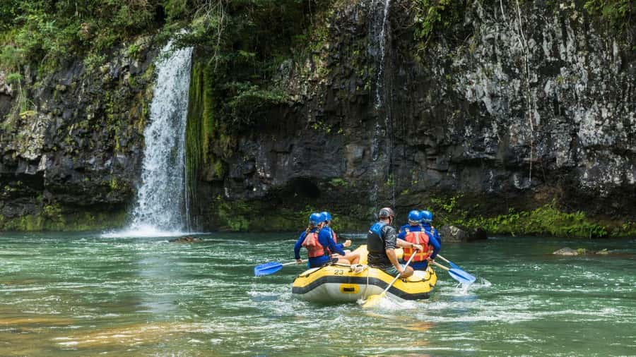 Full Day White Water Rafting From Cairns or Mission Beach - The Tully River rafting vibe: rainforest and real white water