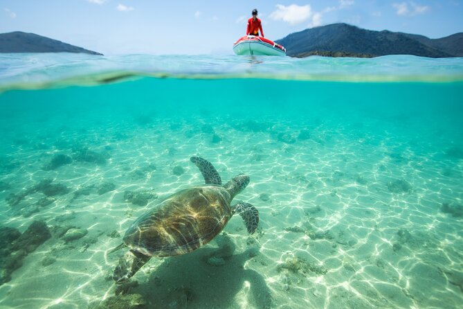 Full-Day Whitsunday Sail and Snorkel Adventure with Lunch - The Real Schedule Feel: Sailing Time vs Time in the Water
