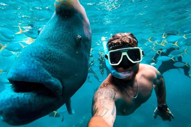 Full-Day Whitsunday Sail and Snorkel Adventure with Lunch - Lunch, Snacks, and BYO Alcohol That Actually Works