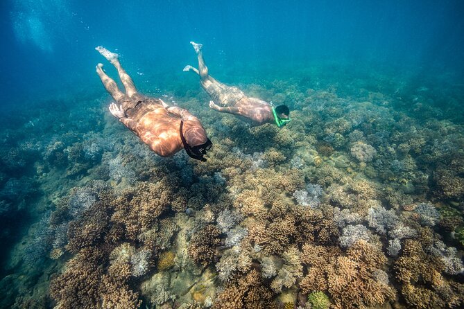 Full-Day Whitsunday Sail and Snorkel Adventure with Lunch - Crew Energy, Safety, and Real Help on Board