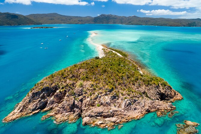 Full-Day Whitsunday Sail and Snorkel Adventure with Lunch - Wildlife Moments You Might Actually Get