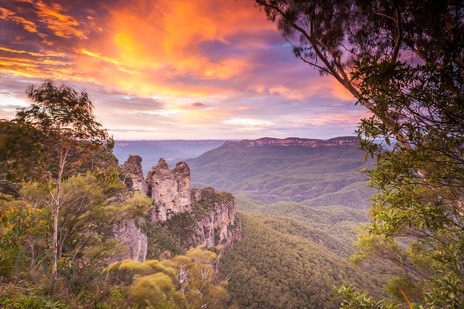Fully Inclusive Blue Mountains Private Tour inc Scenic World & Featherdale Entry - Key things I’d circle before you book