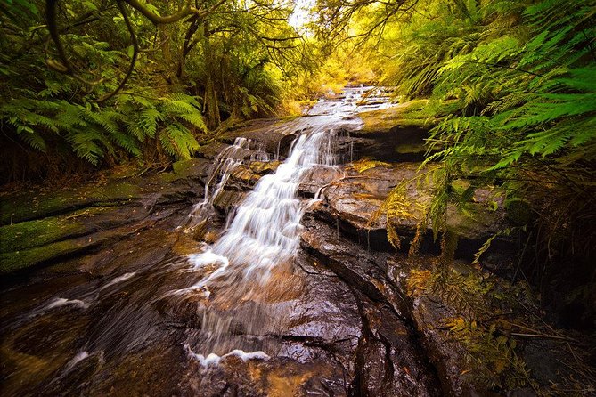 Fully Inclusive Blue Mountains Private Tour inc Scenic World & Featherdale Entry - Price and Value: Why $315 Often Feels Fair Here