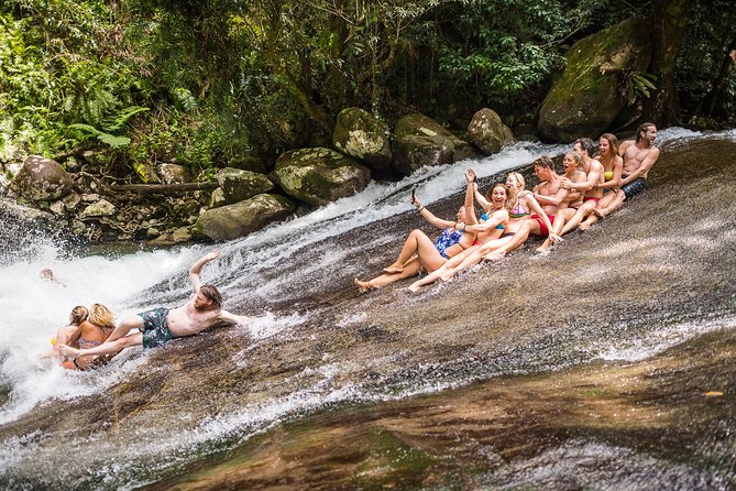 Fun, Falls and Forests Day Trip from Cairns - Quick hits before you go
