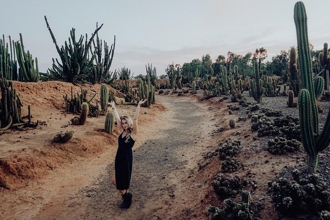 Garden Entry Ticket - Food and breaks: nachos, cactus cake, ice cream, honey, and cactus cider