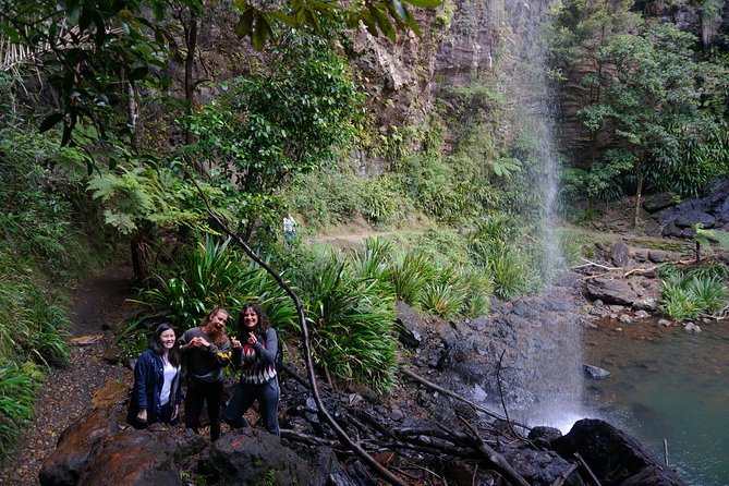 Glow Worms + Day/Night Rainforest & Waterfalls Experience - Natural Bridge stop: cave and waterfall in about an hour