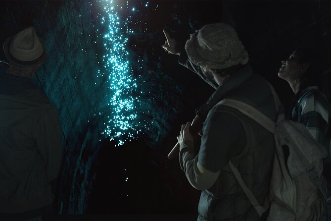 Glow-worms, Waterfalls & Rainforest Experience - Nightcap National Park, then glowworms at night