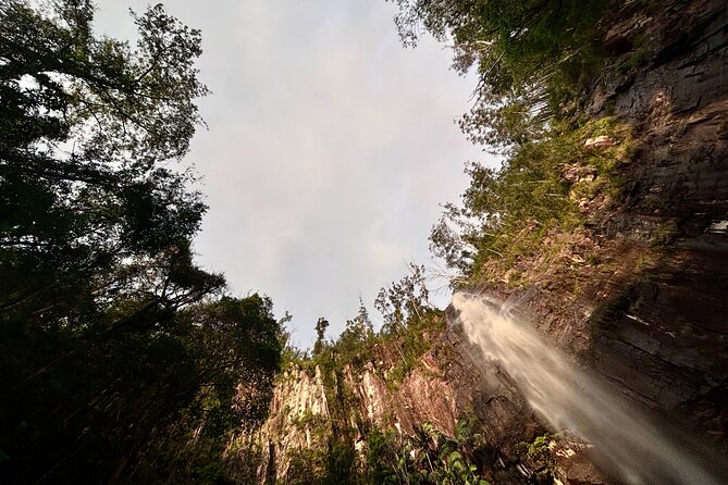 Glow-worms, Waterfalls & Rainforest Experience - Price and value: $99.70 for a full day in Gondwana country