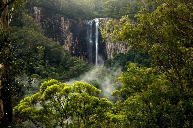 Glow-worms, Waterfalls & Rainforest Experience - What to bring and how to handle the cold, wet, and dark