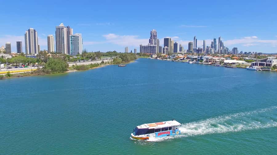Gold Coast: 1-Hour Land and Water Duck Tour - The Tour Experience Pace: Why One Hour Feels Just Right