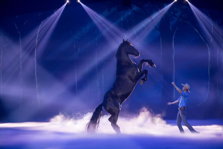 Gold Coast: Australian Outback Spectacular Dinner & Show - Key things to know before you go