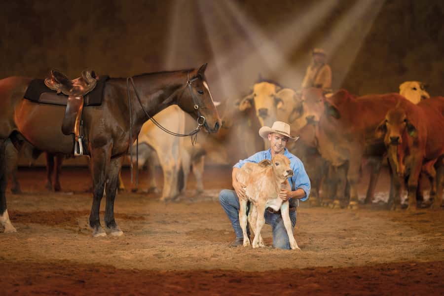 Gold Coast: Australian Outback Spectacular Dinner & Show - Acrobats, horses, and animal stars: the action that sells the night