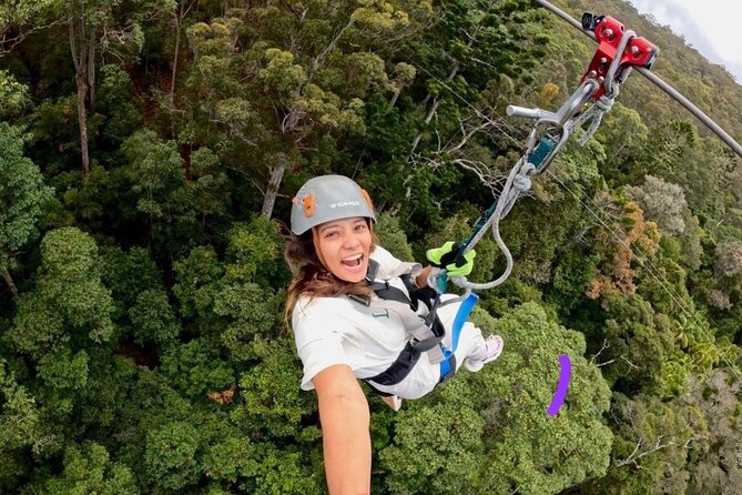 Gold Coast Canyon Flyer Zipline Tour - Canyon Flyer Zipline on Mount Tamborine: Gold Coast Adventure Basics