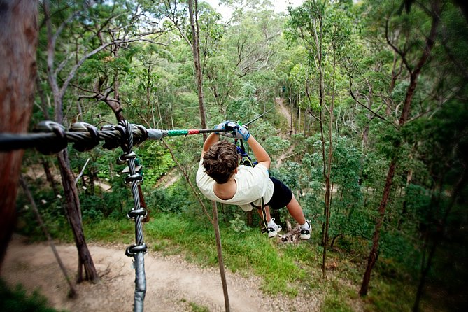 Gold Coast Canyon Flyer Zipline Tour - Safety, fitness, and what to wear so you feel confident
