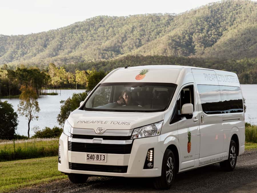 Gold Coast: Daytime Glow Worm Caves and Hop-on Hop-off Tour - Getting to Tamborine Mountain from the Gold Coast, with comfort that matters