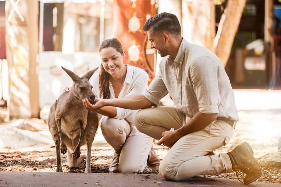 Gold Coast: Dreamworld 1-Day Entry Ticket - Rivertown: Jungle Rush and Murrissippi Motors for a Midday Reset
