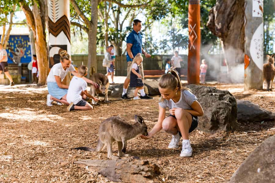 Gold Coast: Dreamworld & SkyPoint 2-Day Ticket - Wildlife time and Tiger Island: the moments you remember
