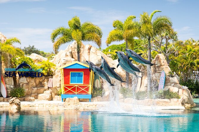 Gold Coast Hop On Hop Off Sightseeing Cruise 1 Day Pass - A Floating Way to See the Broadwater Without a Tight Schedule