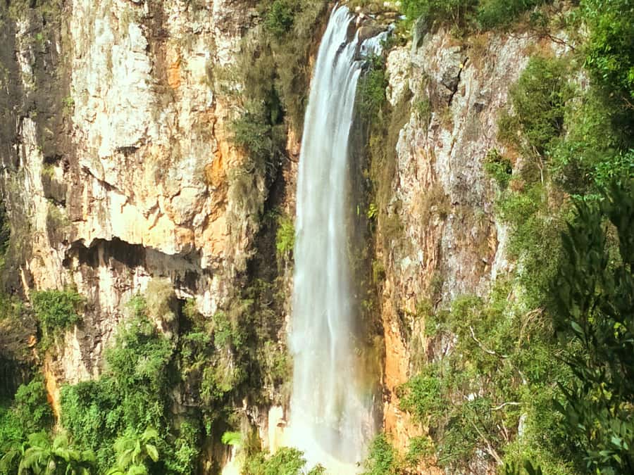 Gold Coast: Kangaroos, Rainforest & Waterfalls Experience - Guides, pace, and why the day feels friendly