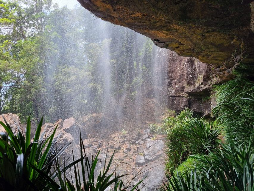 Gold Coast: Kangaroos, Rainforest & Waterfalls Experience - What to bring (so the waterfalls stay fun, not stressful)