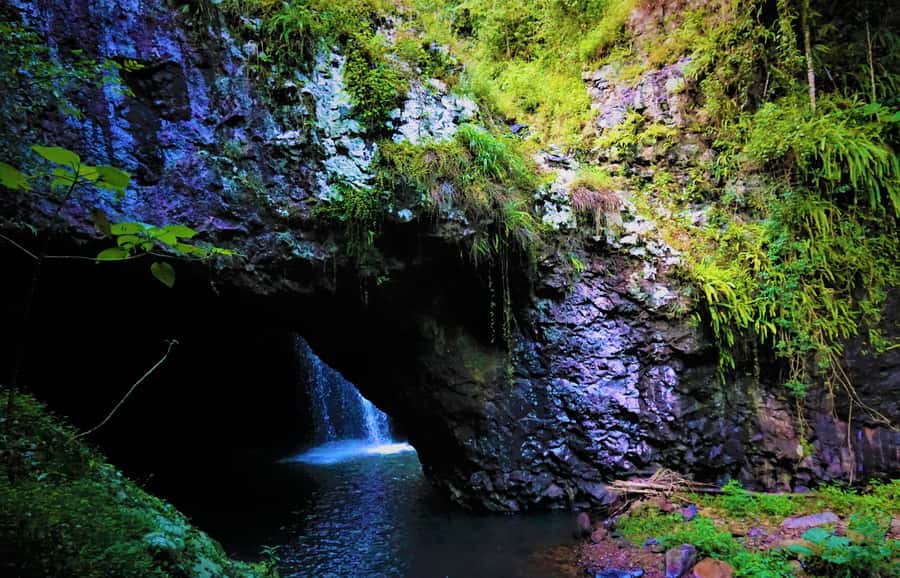 Gold Coast: Kangaroos, Rainforest & Waterfalls Experience - Gold Coast pickup to Natural Bridge: the drive sets the tone