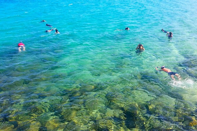 Gold Coast Kayaking & Snorkelling Tour (2.5 Hours) - Key highlights from this Gold Coast water adventure