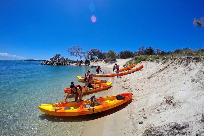 Gold Coast Kayaking & Snorkelling Tour (2.5 Hours) - Wave Break Island reef walk: the snorkeling reality check
